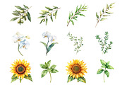 Botanical Wellness Watercolor, an Illustration by Design Market (Thumbnail 3 of 3)