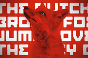 Planet Rouge Display Font, a Sans Serif Font by Vintage Type Company (Thumbnail 6 of 10)