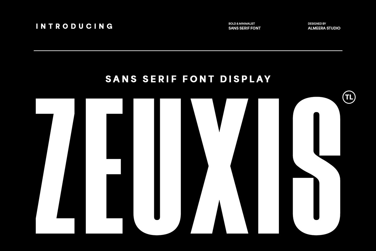 Zeuxis - Bold & Minimalist Sans, a Sans Serif Font by Almeera Std (Photo 1 of 7)