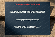 Ceko | Elegant Luxury Serif, a Serif Font by Astuti Studio (Thumbnail 3 of 23)