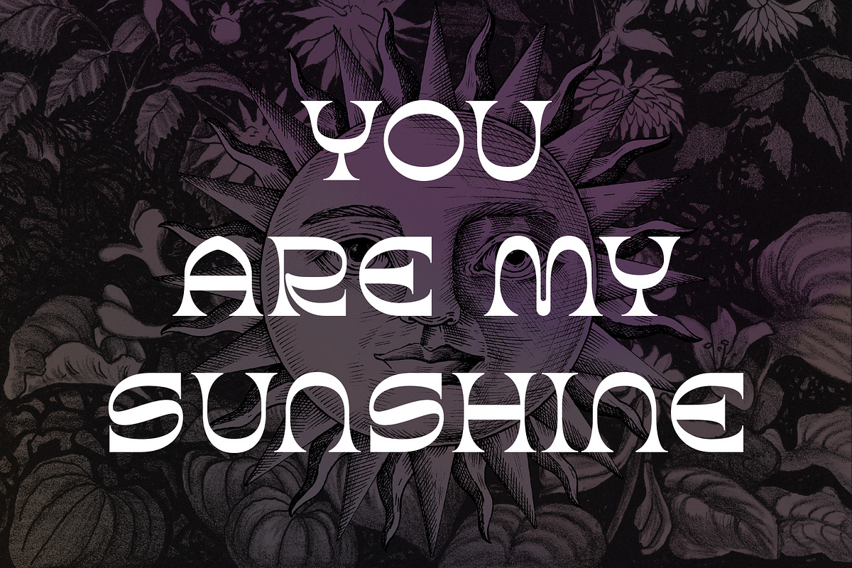 Aurora - Brutalist Display Typeface, a Serif Font by HipFonts (Photo 8 of 8)