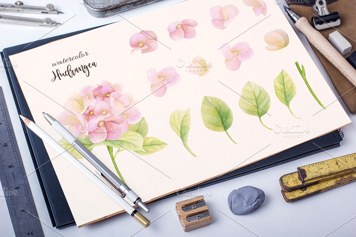 Watercolor hydrangea, an Illustration by Colibri Watercolor (Photo 2 of 2)