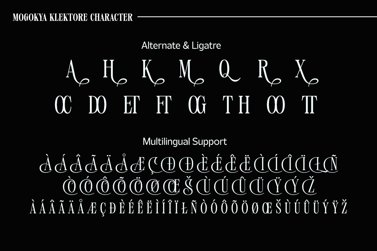 Mogokya Klektore, a Serif Font by Differentialtype (Photo 10 of 11)