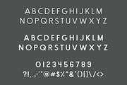 Brooklyn | Two Weight Font Family, a Sans Serif Font by Jen Wagner Co (Thumbnail 2 of 8)