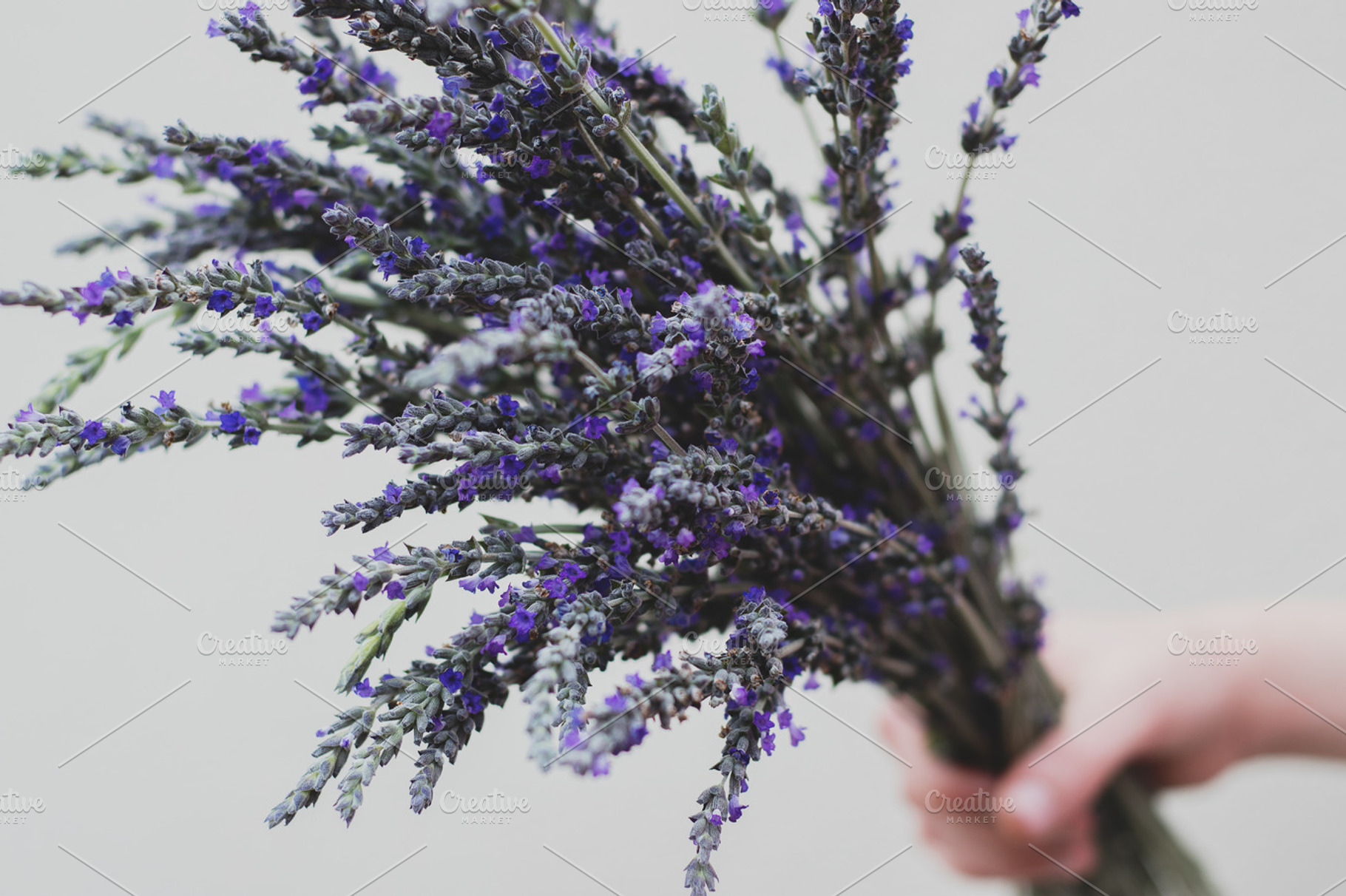 Hand held lavender flower bouquet, a Health & Medical Photo by René Jordaan Photography