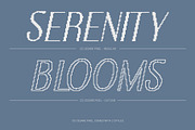 CS Cesare Pixel, a Sans Serif Font by Craft Supply Co. (Thumbnail 4 of 8)