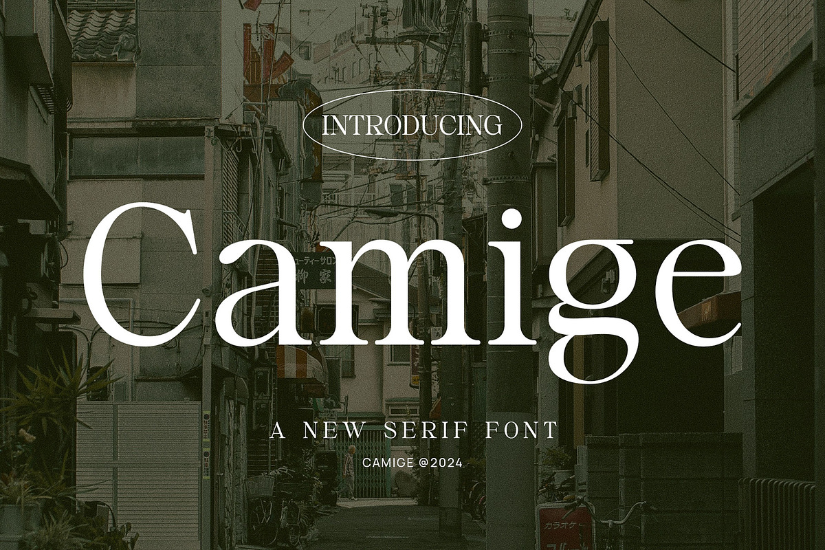 Camige - Classy & Stylish Serif, a Serif Font by TypeLogue (Photo 1 of 5)