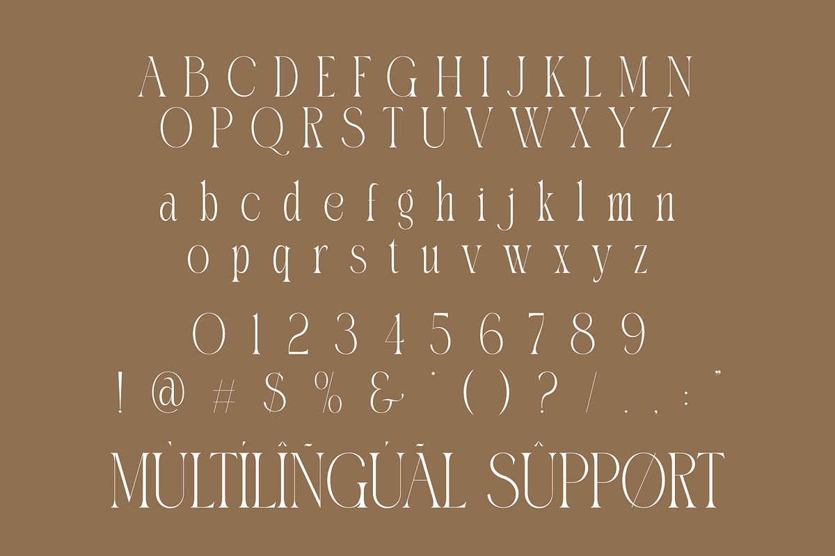 Nabira Modern Elegant Serif, a Serif Font by Alfinart (Photo 7 of 10)