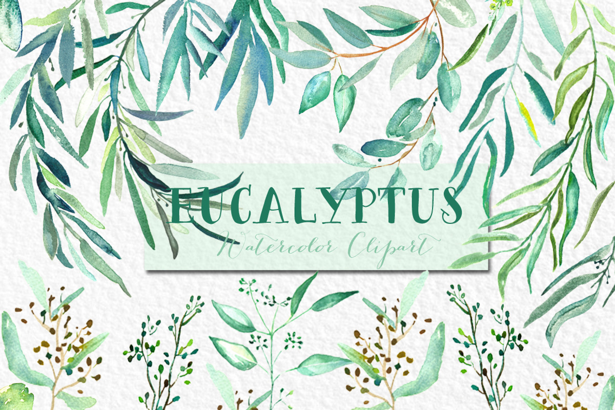 Eucalyptus Watercolor Greenery, a Healthcare Illustration by LABFcreations (Photo 5 of 11)