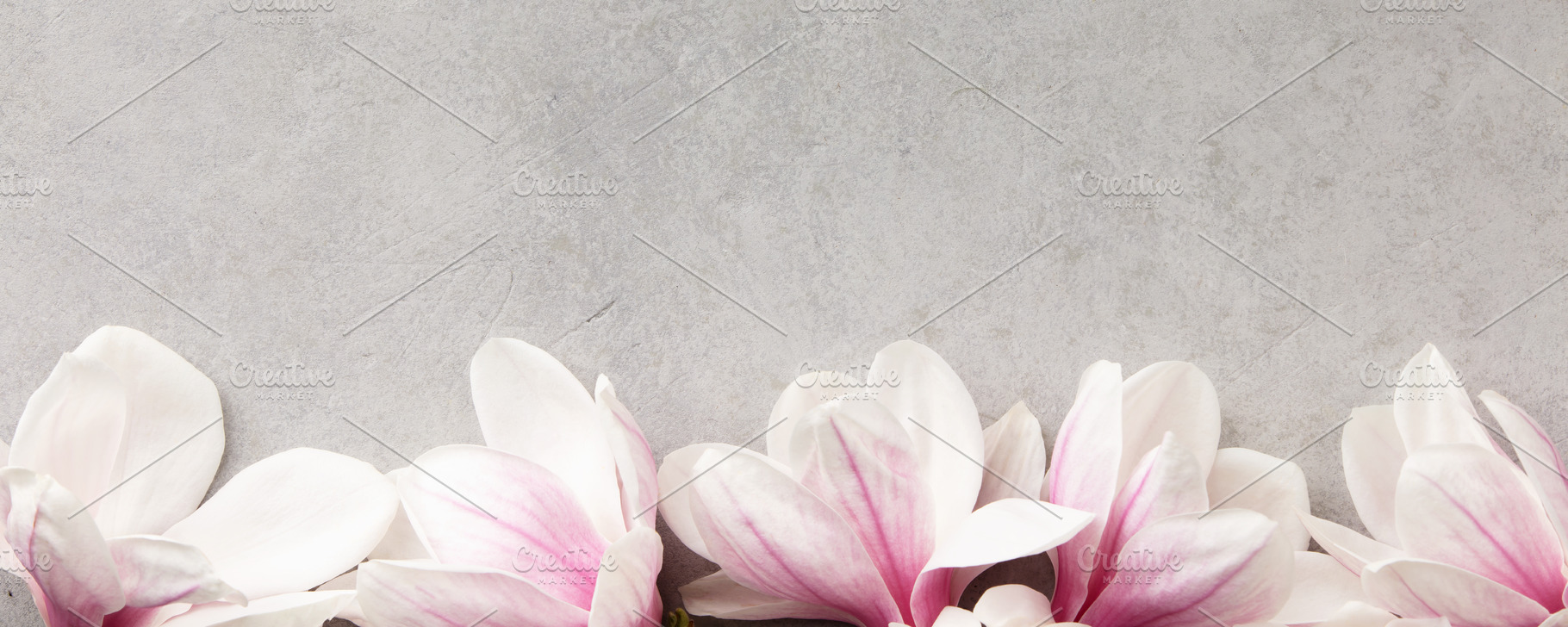 Magnolia Flower Border on Light Background with Copy Space, a Health & Medical Photo by Natalia Klenova's Shop