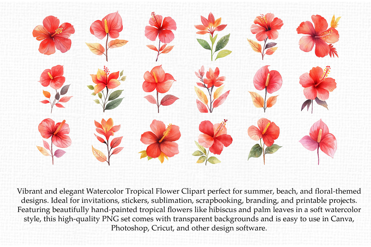 Watercolor Tropical Flower Clipart, an Illustration by Libby Wishes (Photo 2 of 3)