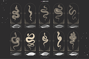 Procreate snake brushes, a Brush Add-On by KsTumanova (Thumbnail 4 of 6)