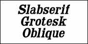 Slabserif Grotesk JNL, a Slab Serif Font by Jeff Levine Fonts (Thumbnail 4 of 5)