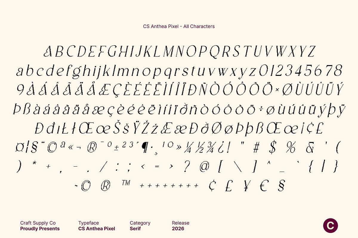CS Anthea Pixel, a Serif Font by Craft Supply Co. (Photo 8 of 8)