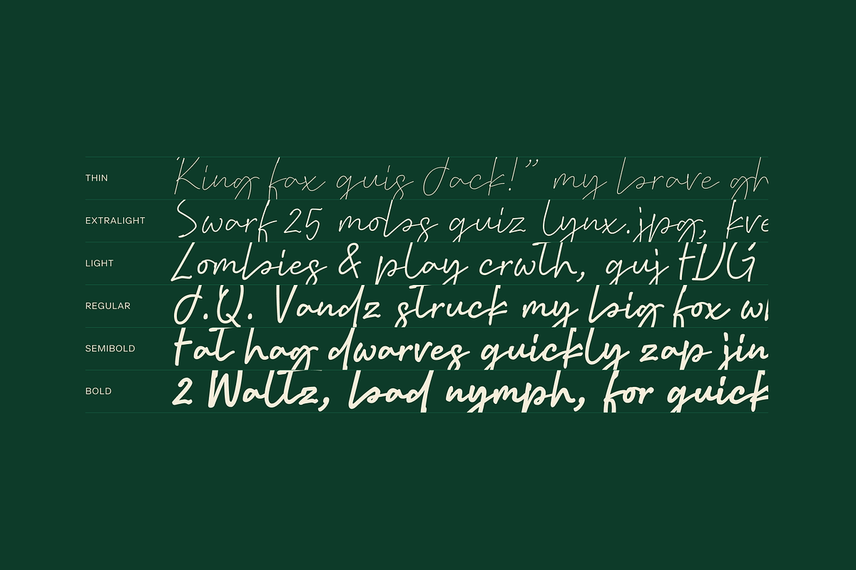Coldia, a Handwritten Font by Lafontype (Photo 5 of 8)