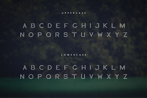 Blogoodf Font