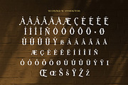 Belvedrò – Versatile Vintage Serif, a Serif Font by Brand Earth (Thumbnail 3 of 8)