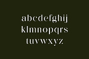 Zamoneva Elegant Serif Display Font, a Serif Font by UICreative (Thumbnail 8 of 13)