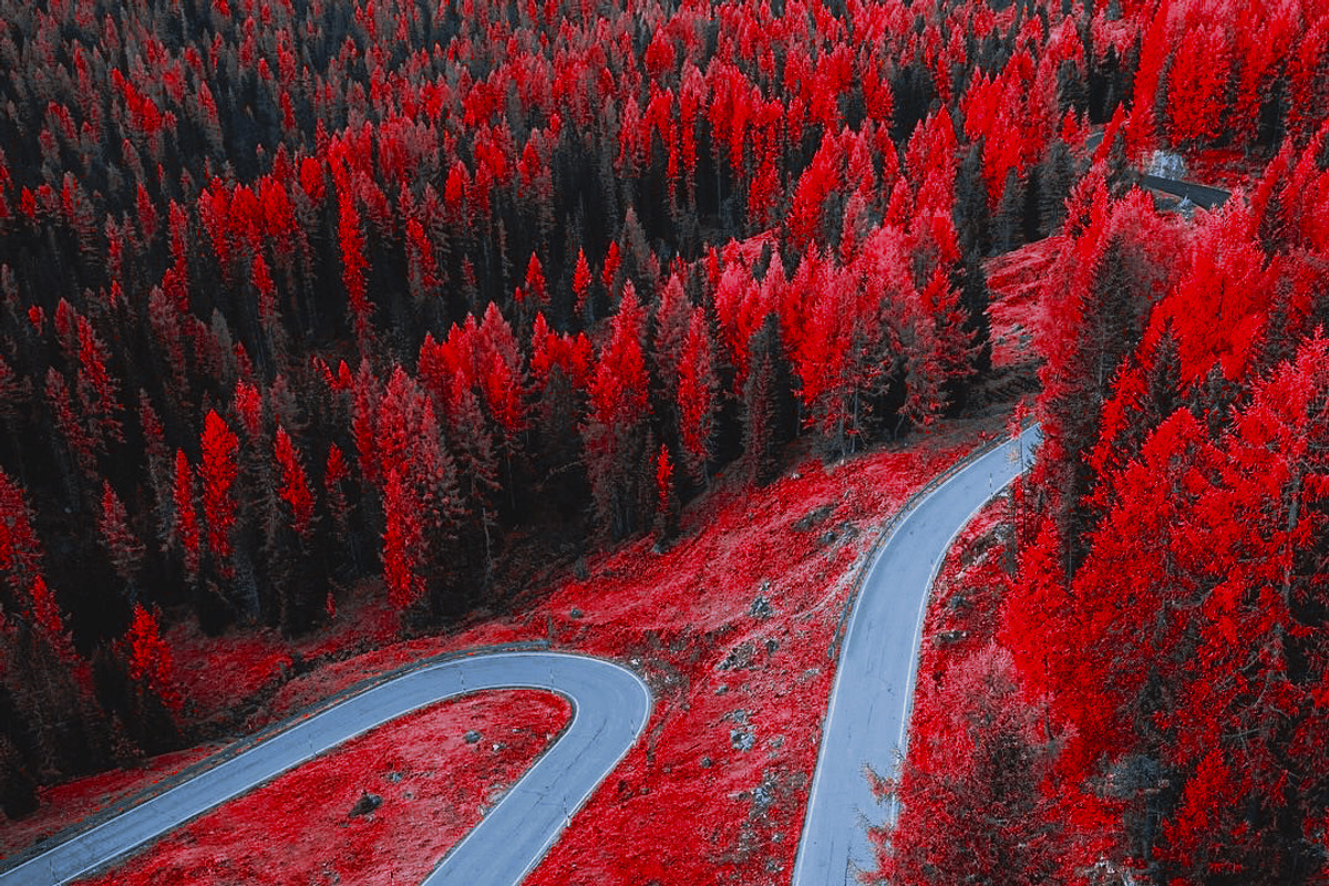 454 Infrared Fantasy Pro LUTs, a Preset Add-On by ShutterPro (Photo 32 of 48)