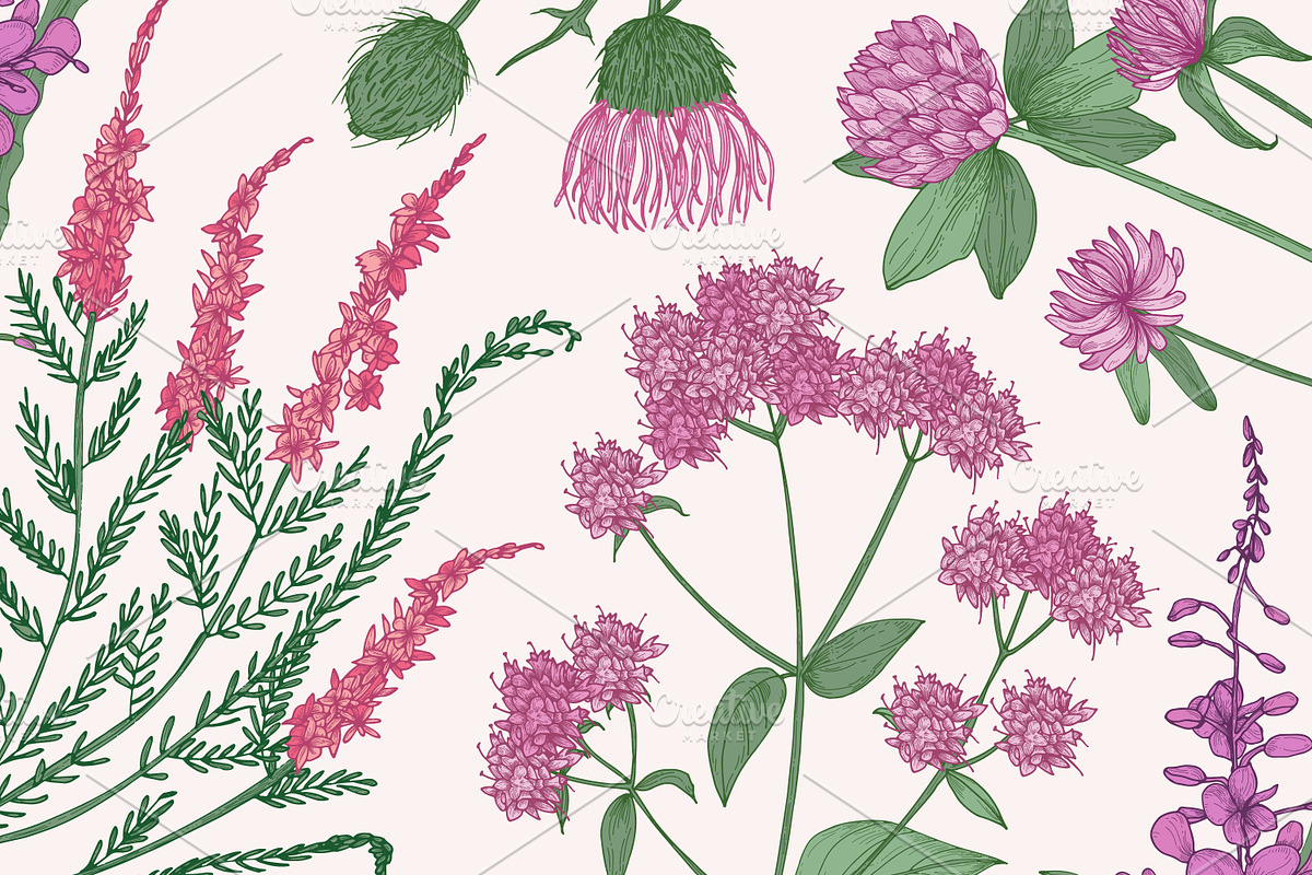 Wild flowers,herbs,herbaceous plants, a Texture Illustration by Good Studio (Photo 20 of 22)