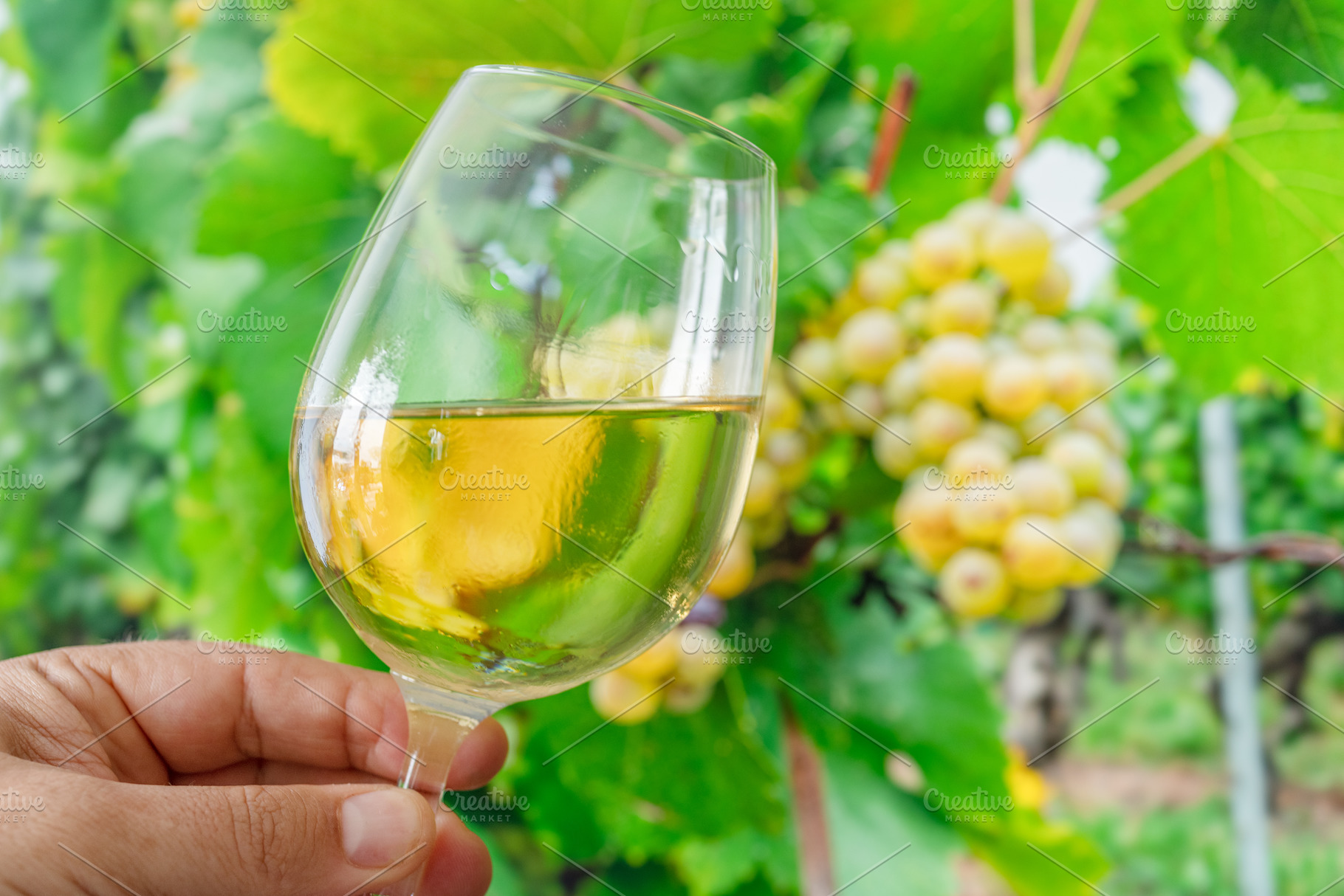 Glass of white wine in man hand, a Food & Drink Photo by Volff