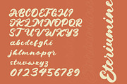 Dragonvoid a Bold & Retro Script, a Script Font by Lettertype Studio (Thumbnail 6 of 17)
