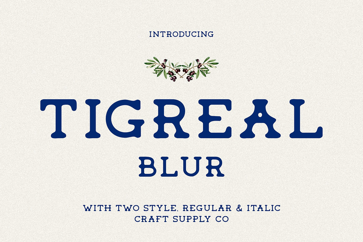 Tigreal Blur, a Serif Font by Craft Supply Co. (Photo 1 of 8)