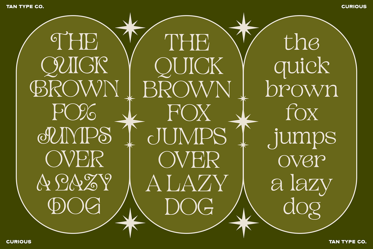TAN - CURIOUS, a Serif Font by TanType (Photo 3 of 11)