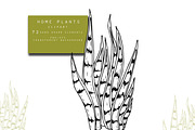 Home Plants Clipart Collection, a Graphic by Hand drawn Boutique (Thumbnail 10 of 10)