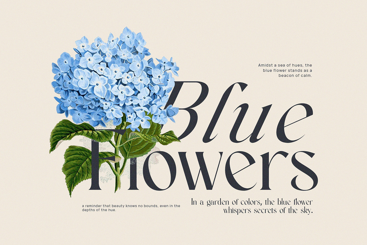 Alsgina Cheska Family Elegant Serif, a Serif Font by Graphicxell (Photo 3 of 8)