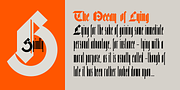 Bastard, a Blackletter Font by Barnbrook Fonts (Thumbnail 6 of 7)