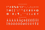 Bobante Retro Classic Serif Font, a Serif Font by Rasio Studio (Thumbnail 3 of 13)