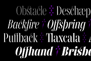 Gabriela Stencil Condensed, a Font by Lechuga Type (Thumbnail 2 of 17)