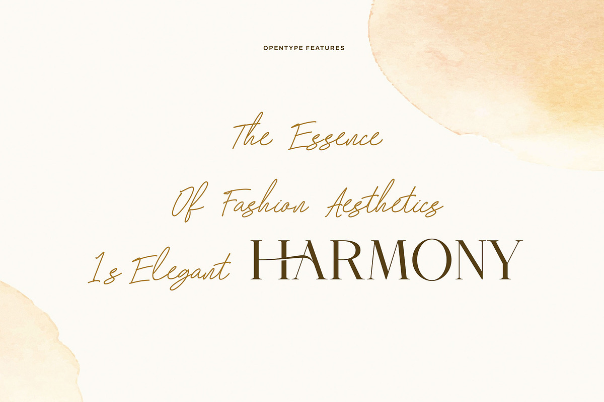 Lunery Purity || Modern Font Duo, a Serif Font by ToniStudio (Photo 2 of 12)