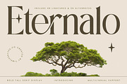 Eternalo Bold Luxury Modern Serif, a Serif Font by timelesstype.co (Thumbnail 1 of 20)