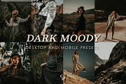 10 Moody Lightroom Presets, a Preset Add-On by CVR Presets (Thumbnail 1 of 8)