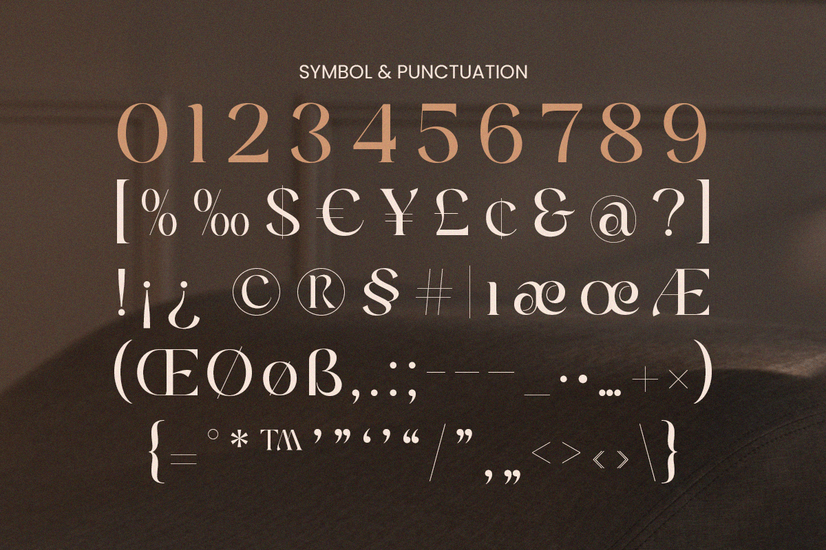 Clover - Modern Serif Logo Font, a Serif Font by Sensatype (Photo 11 of 12)