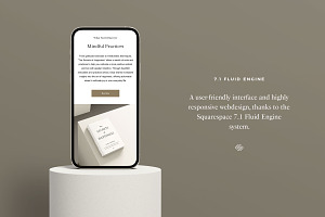 Ashton Squarespace 7.1 Website Theme