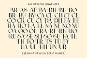 Numea - All Caps Elegant Font, a Serif Font by Pandeka Studio (Thumbnail 9 of 10)