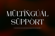 Arleon Domenk Display Elegant Serif, a Serif Font by Denustudios (Thumbnail 13 of 15)