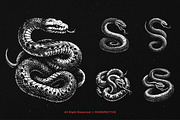 10 Bundle Dark Art Python Snake, an Illustration by Morspective (Thumbnail 3 of 7)