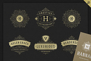 500 ornaments logos & monograms, a Branding & Logo Template by Vasya Kobelev (Thumbnail 14 of 31)