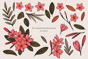 Illustration set Plumeria, an Illustration by Maria Summer (Thumbnail 3 of 13)