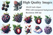 Watercolor Blackberry Clipart, an Illustration by Craft Nest (Thumbnail 2 of 6)