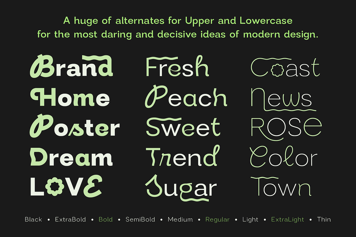 Modern Sans, a Sans Serif Font by Larin Type Co. (Photo 5 of 15)