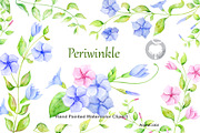 Watercolor clipart Periwinkle, an Illustration by AqwaColor (Thumbnail 1 of 2)