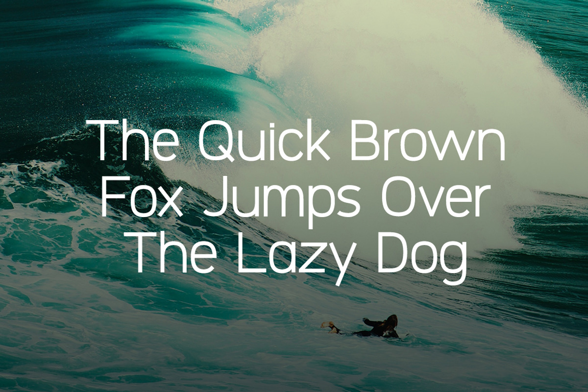 Logico-Sans Modern Sans Serif preview 3