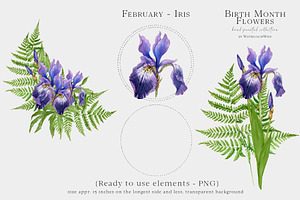 Watercolor Iris Birth Flower Clipart