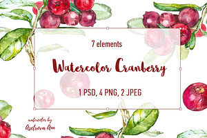 Watercolor Cranberry