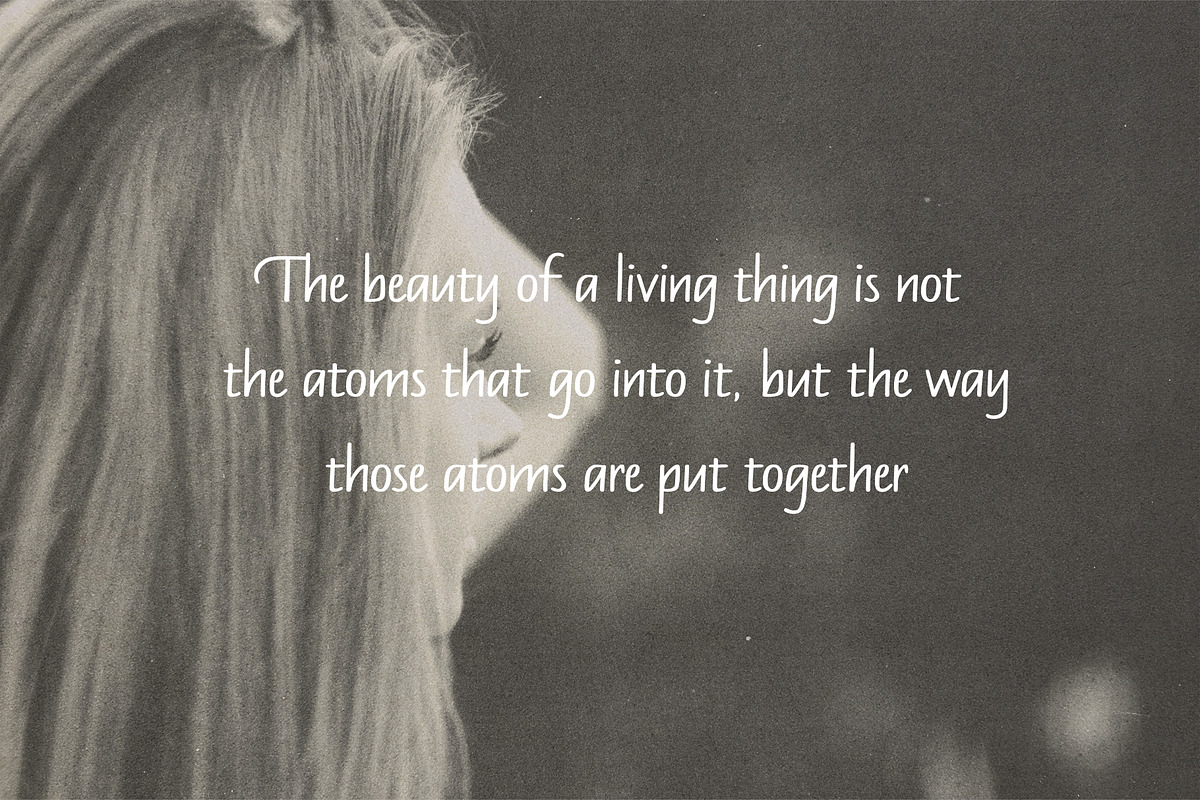 Mandys - Formal Handwritten Typeface, a Handwritten Font by ManuelRosin (Photo 7 of 13)